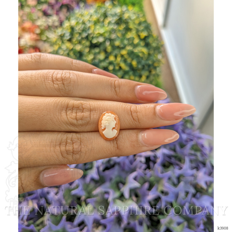 3.17 Ct. Coral from Italy