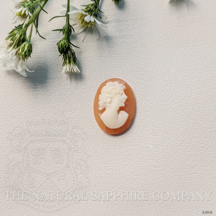 3.17 Ct. Coral from Italy