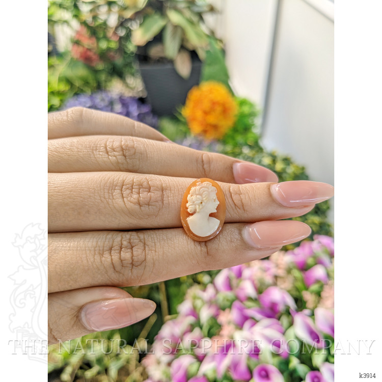 3.89 Ct. Coral from Italy