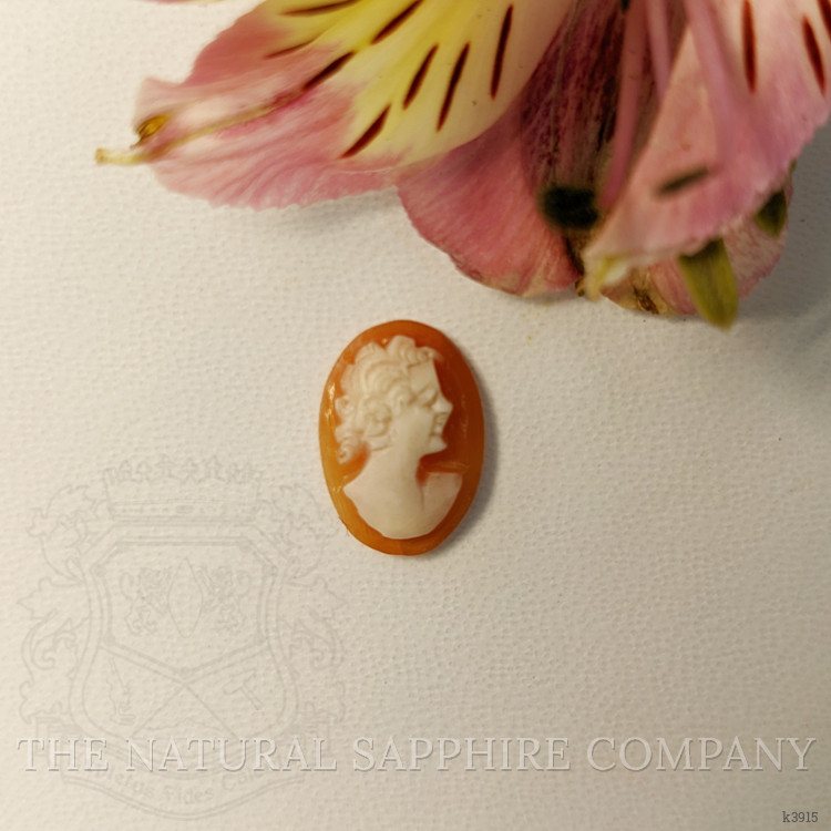 2.65 Ct. Coral from Italy
