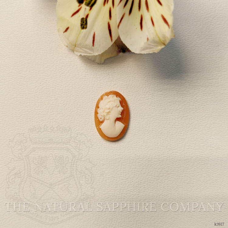 2.51 Ct. Coral from Italy