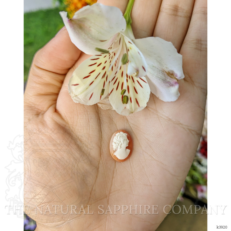 3.48 Ct. Coral from Italy