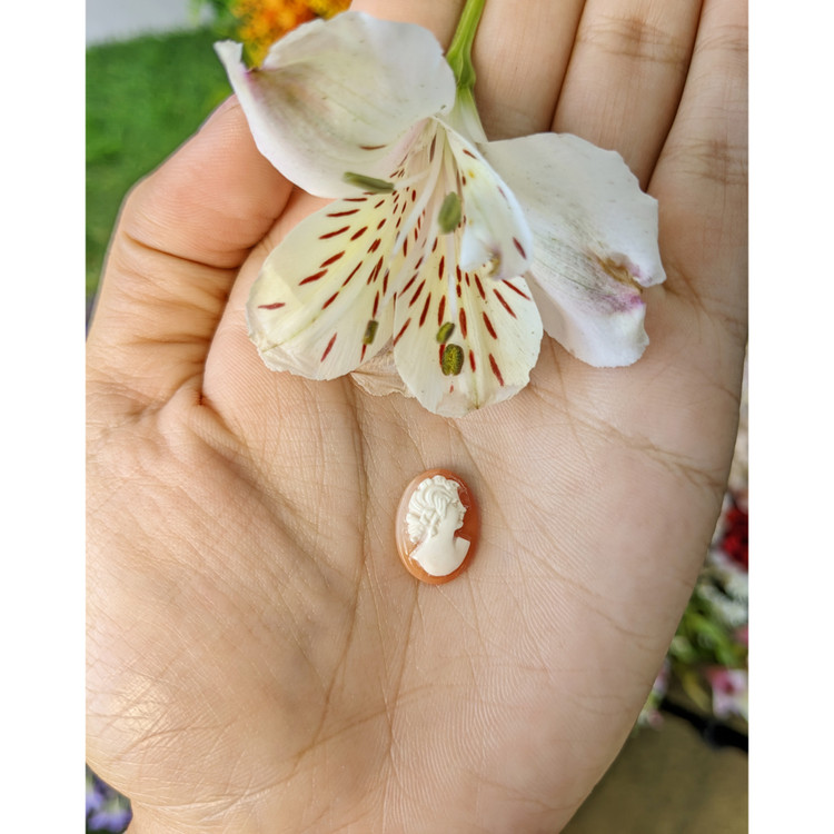 3.48 Ct. Coral from Italy