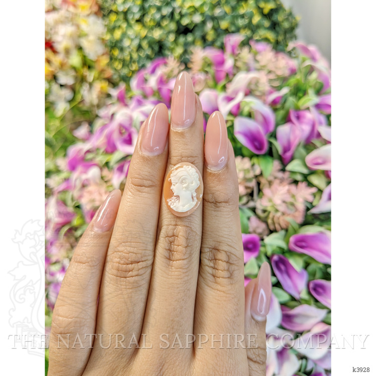 5.91 Ct. Coral from Italy