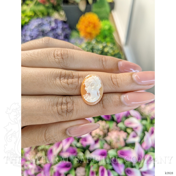 5.91 Ct. Coral from Italy