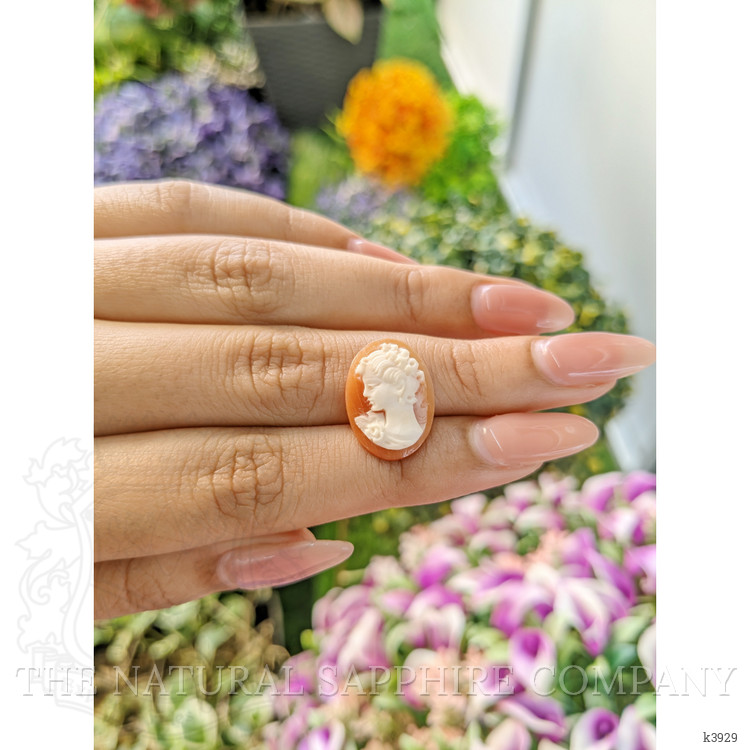 5.60 Ct. Coral from Italy