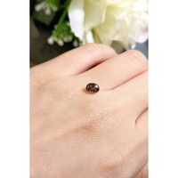 0.86 Ct. Garnet from Ceylon (Sri Lanka) Life Style