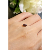 0.86 Ct. Garnet from Ceylon (Sri Lanka) Life Style