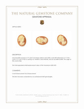 4.19 Ct. Coral from Italy Appraisal