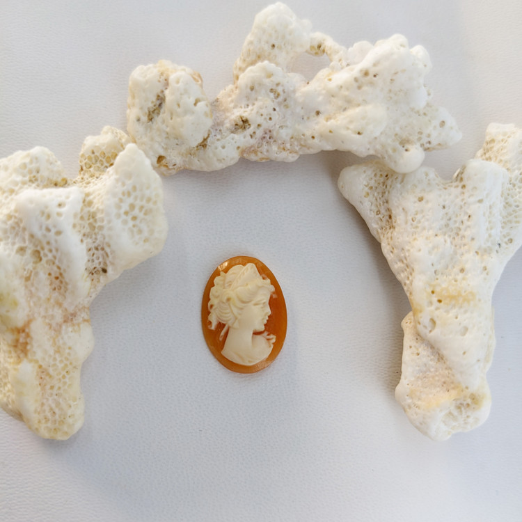 4.19 Ct. Coral from Italy