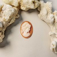 4.03 Ct. Coral from Italy Life Style