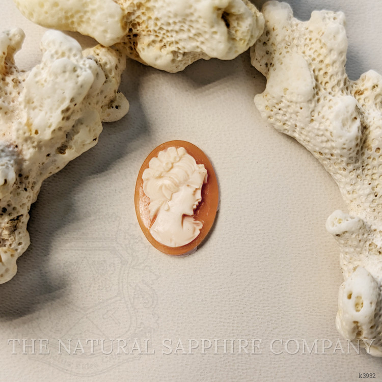 4.03 Ct. Coral from Italy