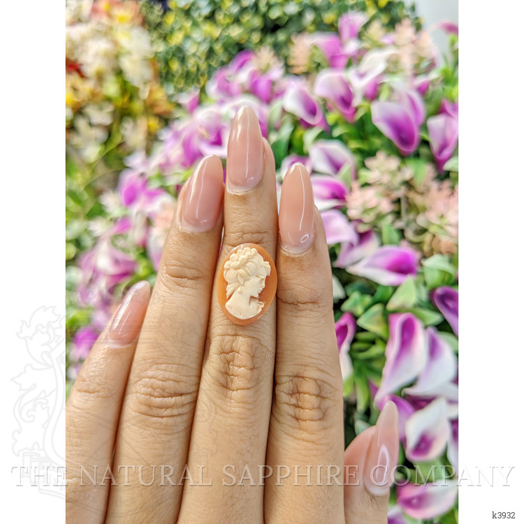 4.03 Ct. Coral from Italy