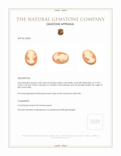 3.68 Ct. Coral from Italy Appraisal