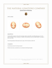 3.68 Ct. Coral from Italy Appraisal