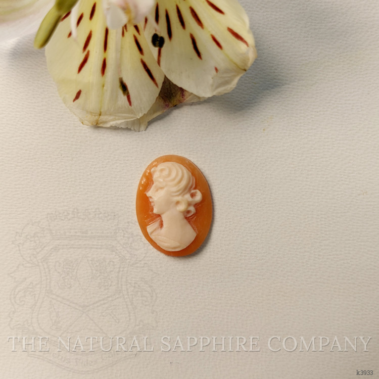 3.68 Ct. Coral from Italy