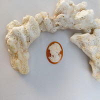4.62 Ct. Coral from Italy Life Style