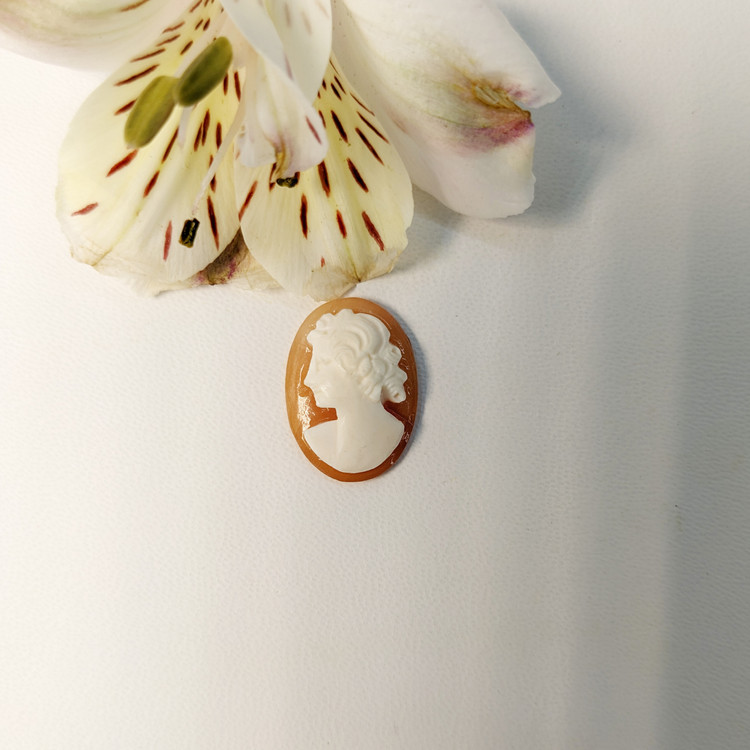 6.80 Ct. Coral from Italy