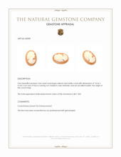 3.64 Ct. Coral from Italy Appraisal