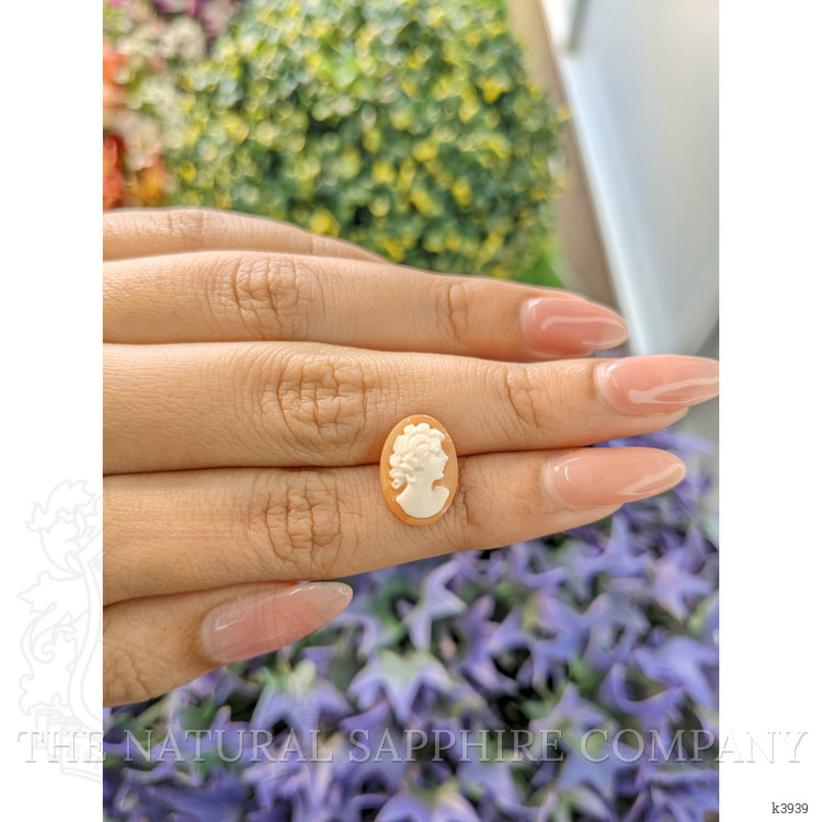 3.64 Ct. Coral from Italy