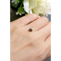 0.51 Ct. Garnet from Ceylon (Sri Lanka) Life Style