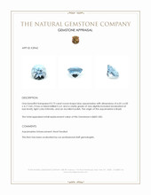 0.73 Ct. Blue Aquamarine from Brazil Appraisal