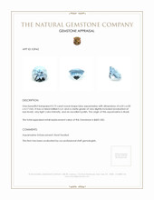 0.73 Ct. Aquamarine from Brazil Appraisal