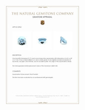 0.73 Ct. Aquamarine from Brazil Appraisal