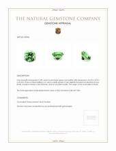 2.89 Ct. Tourmaline from Brazil Appraisal
