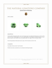 2.89 Ct. Tourmaline from Brazil Appraisal