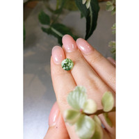 2.89 Ct. Tourmaline from Brazil Life Style