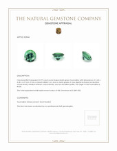 0.99 Ct. Tourmaline from Brazil Appraisal