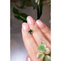 0.99 Ct. Tourmaline from Brazil Life Style