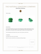 2.64 Ct. Tourmaline from Brazil Appraisal