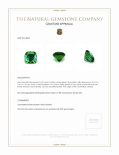 Jewelry Appraisal