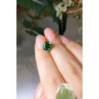 2.65 Ct. Tourmaline from Brazil Life Style
