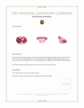 0.86 Ct. Tourmaline from Mozambique Appraisal