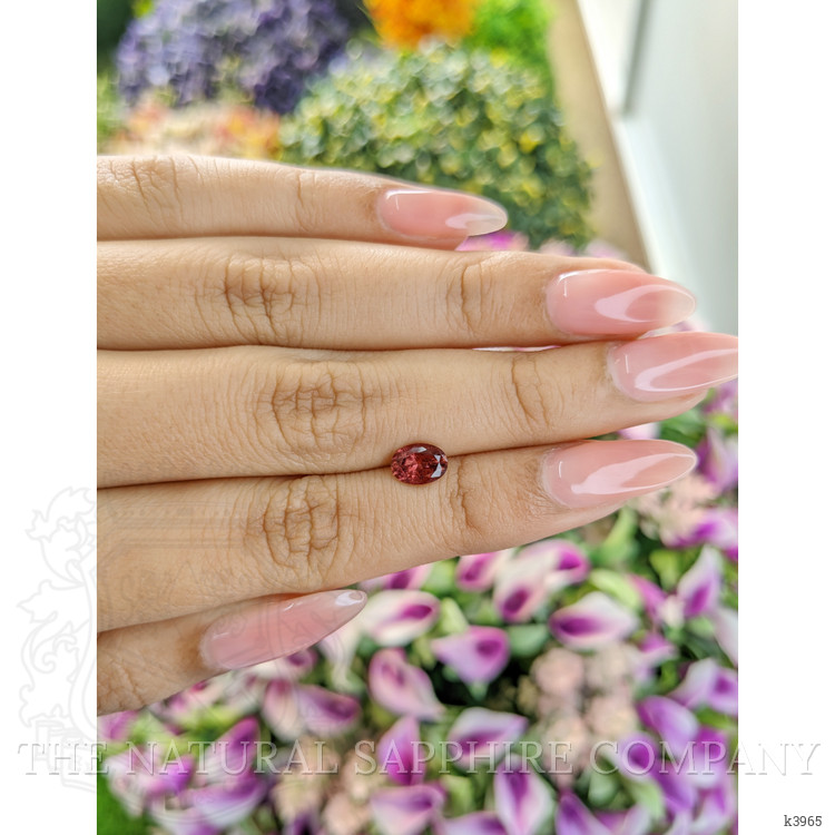 0.93 Ct. Rubellite Tourmaline from Mozambique