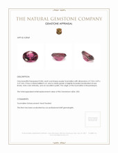 0.86 Ct. Tourmaline from Mozambique Appraisal