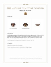 0.76 Ct. Brown Garnet from Ceylon (Sri Lanka) Appraisal