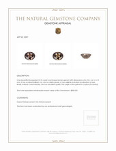 0.76 Ct. Garnet from Ceylon (Sri Lanka) Appraisal