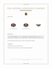 0.76 Ct. Garnet from Ceylon (Sri Lanka) Appraisal