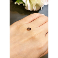 0.76 Ct. Garnet from Ceylon (Sri Lanka) Life Style