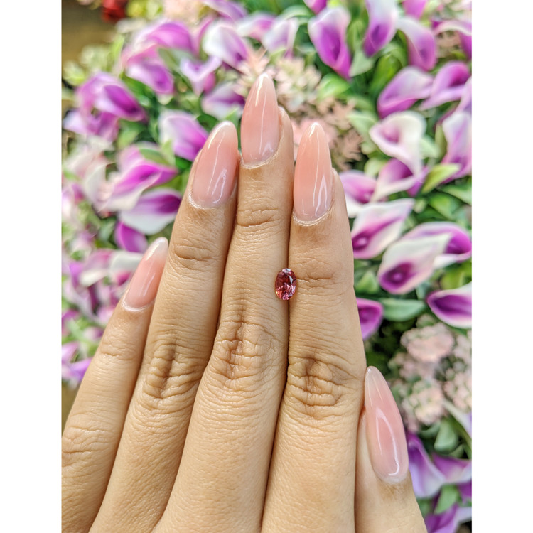 0.52 Ct. Tourmaline from Mozambique