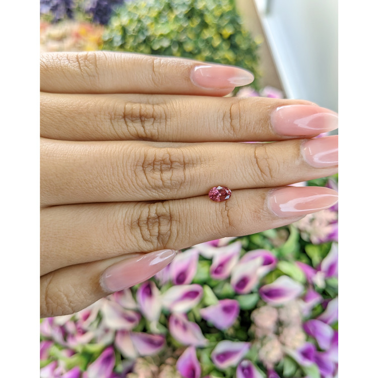 0.52 Ct. Tourmaline from Mozambique