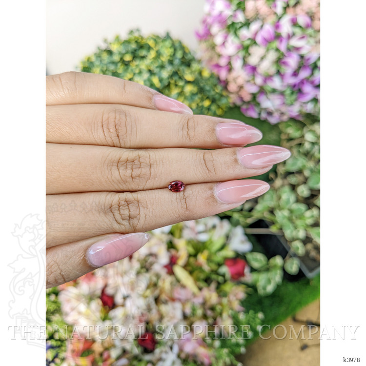 0.46 Ct. Rubellite Tourmaline from Mozambique