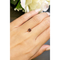 0.92 Ct. Garnet from Ceylon (Sri Lanka) Life Style