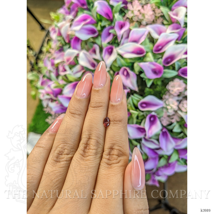 0.45 Ct. Rubellite Tourmaline from Mozambique