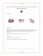 0.41 Ct. Tourmaline from Mozambique Appraisal