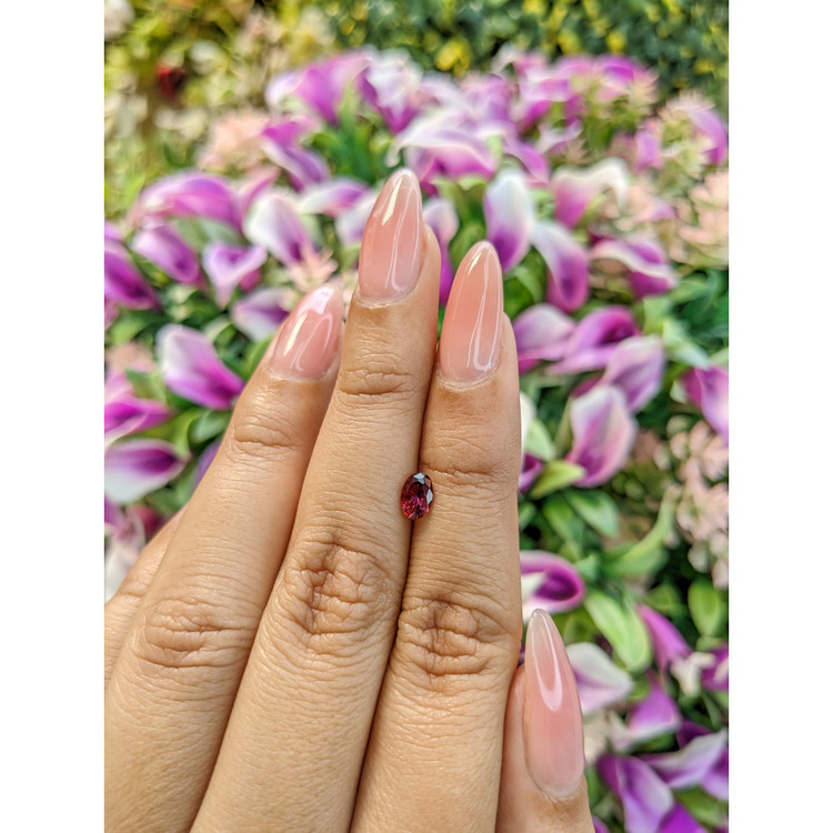 0.44 Ct. Rubellite Tourmaline from Mozambique